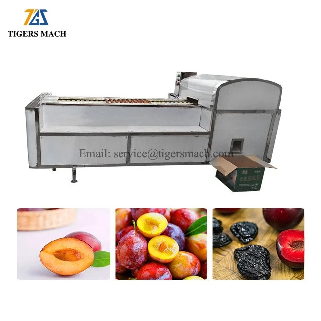 Plum Core Seed Remover