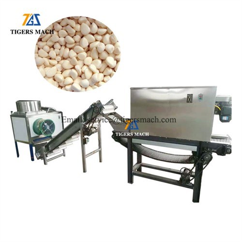 Skalmaskin för vitlöksskal